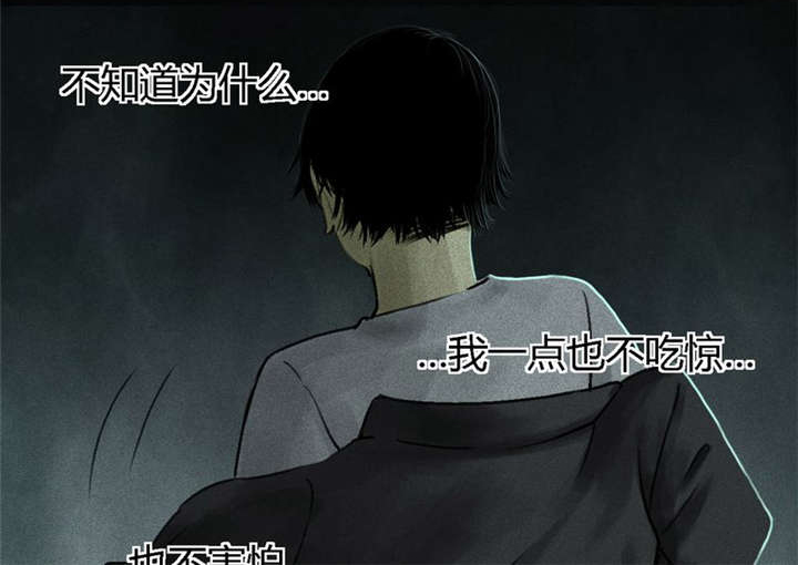 第52章：最终篇（中）73