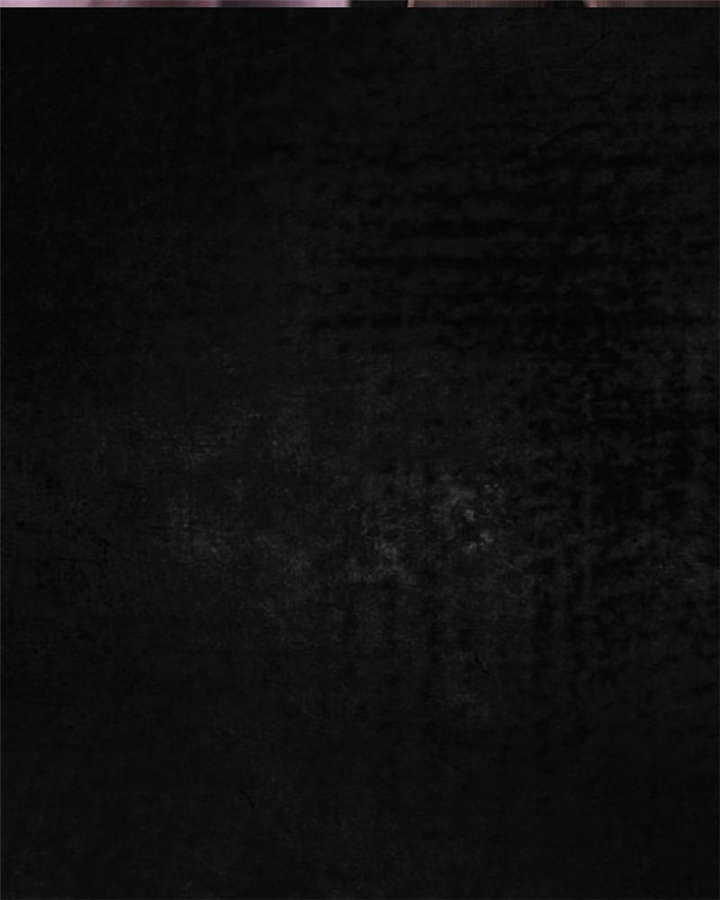 第13章：大将军到此80