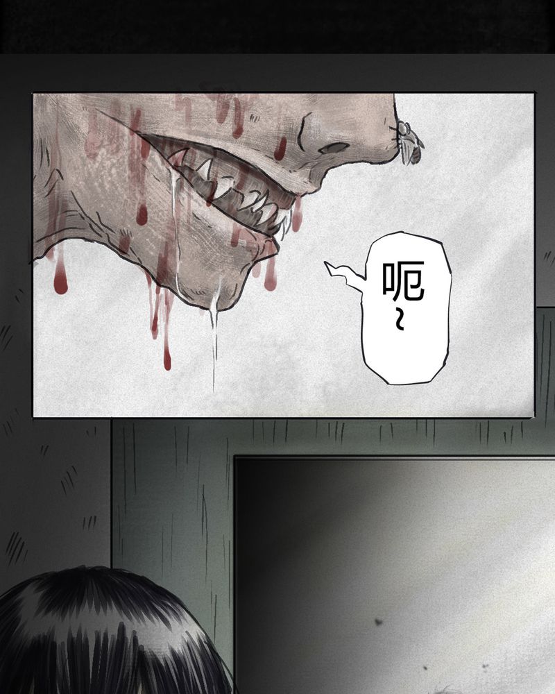 第55章：番外篇（上）6