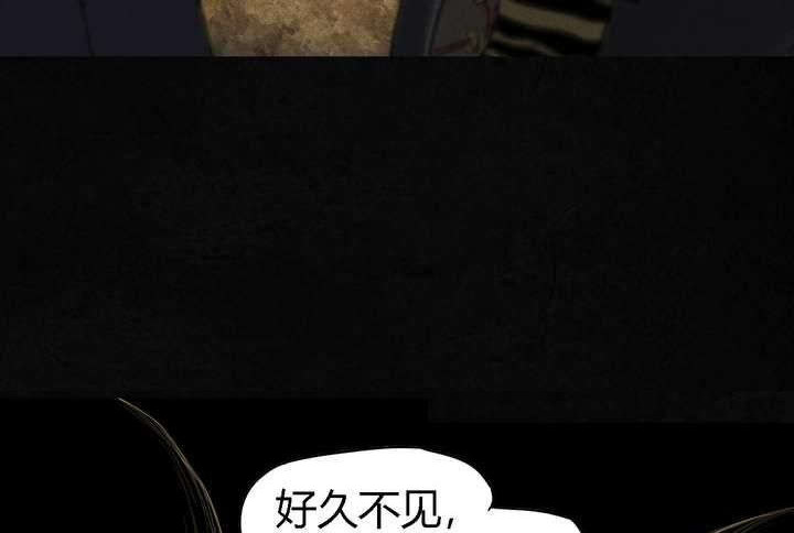 第43章：胡黄白柳灰50