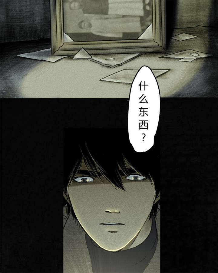 第44章：圣路易医院55