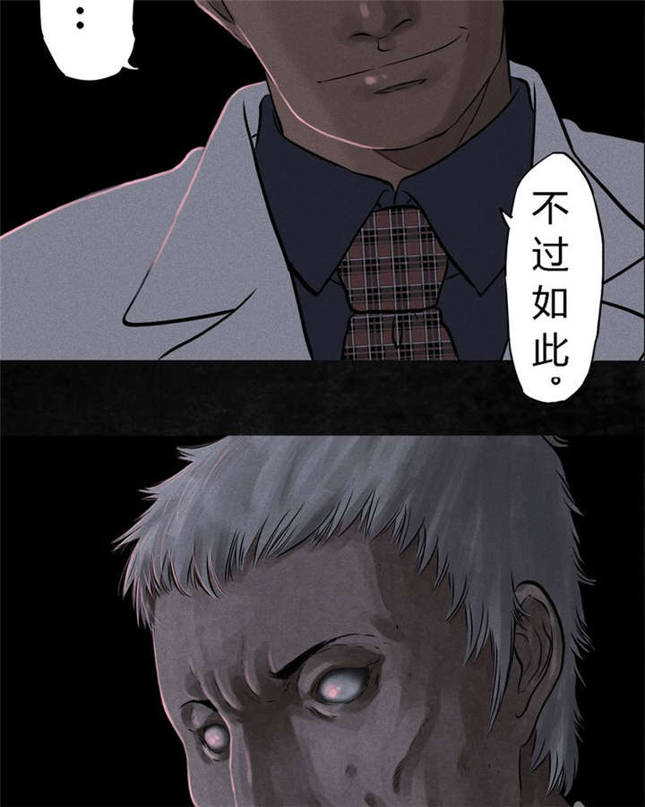 第31章：傀儡5
