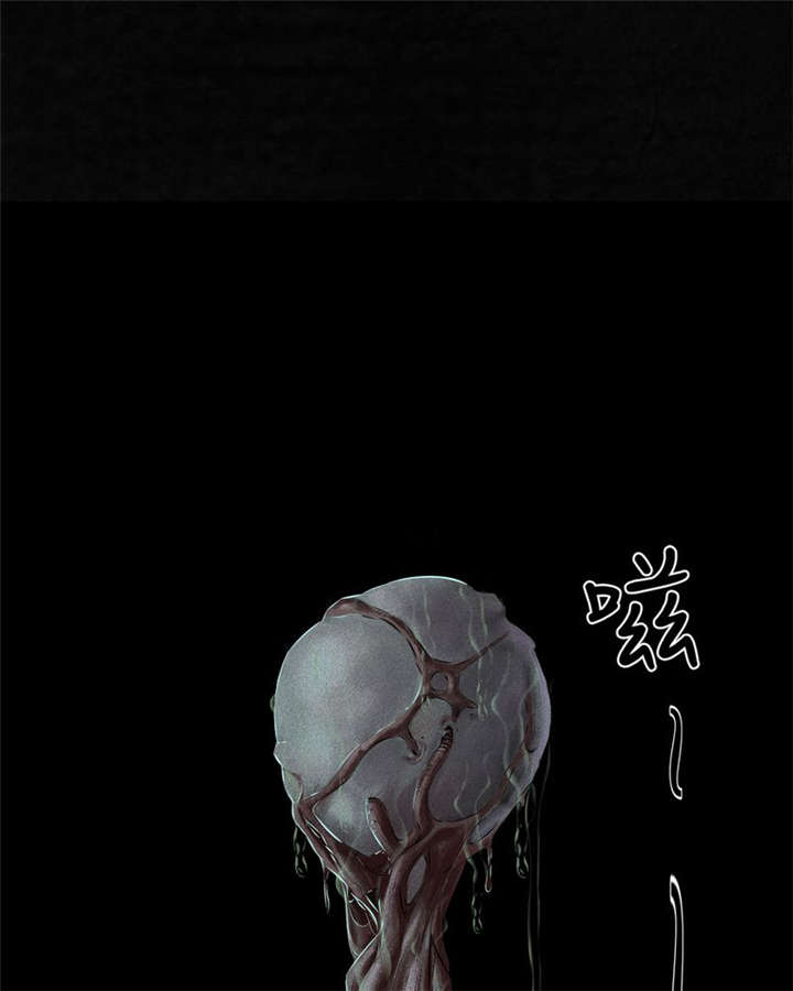 第33章：食物39