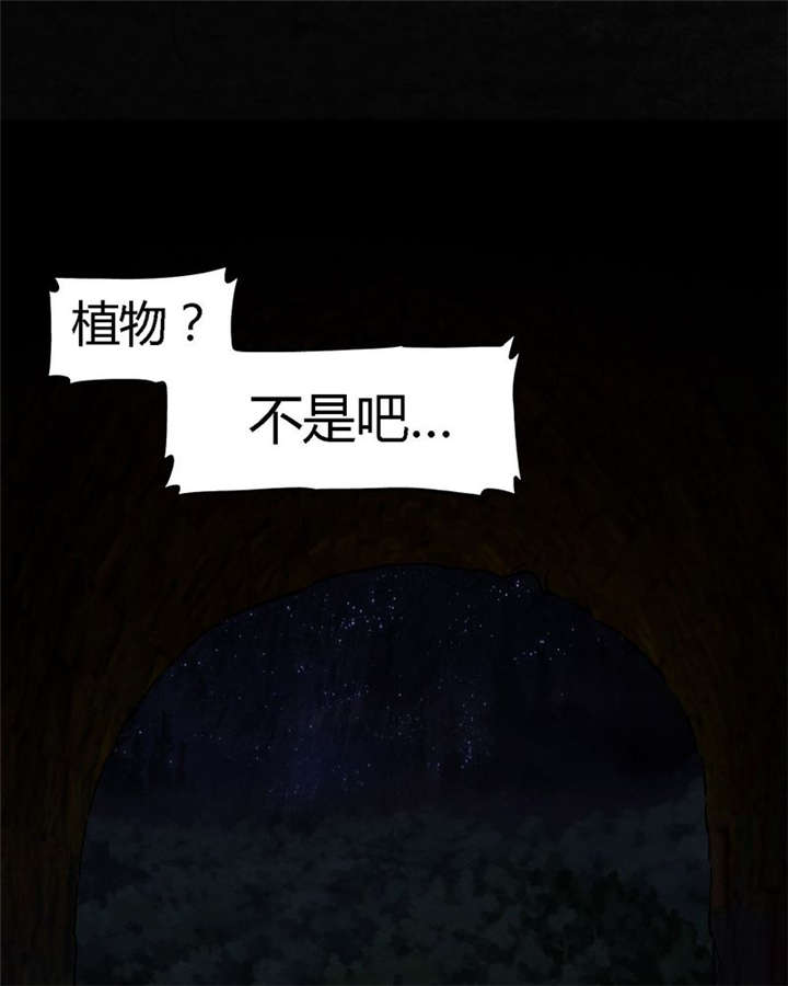 第39章：回到地面？74