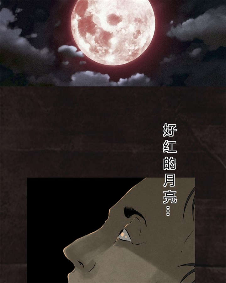 第25章：药丸45