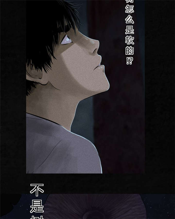 第41章：这里也有···26