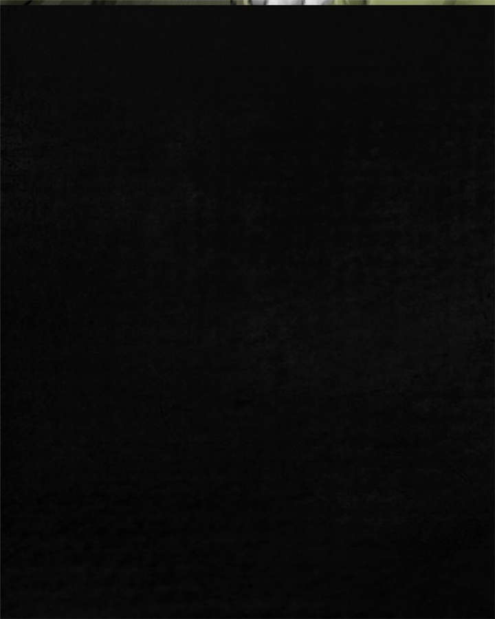第13章：大将军到此26