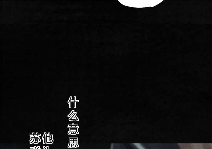 第52章：最终篇（中）51