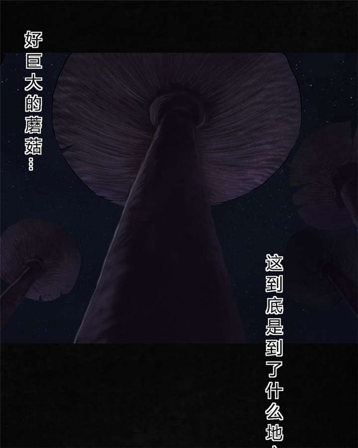 第41章：这里也有···29