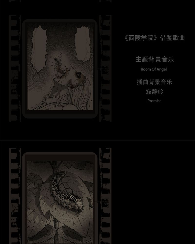 第54章：完结5