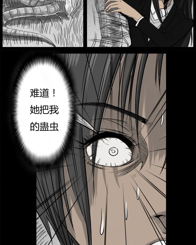 第24章：宿主(二)24
