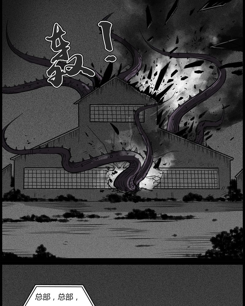 第51章：直播(四)13