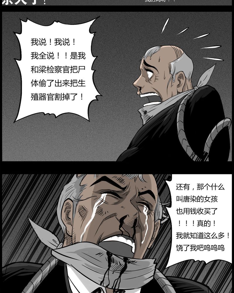 第48章：直播(一)19