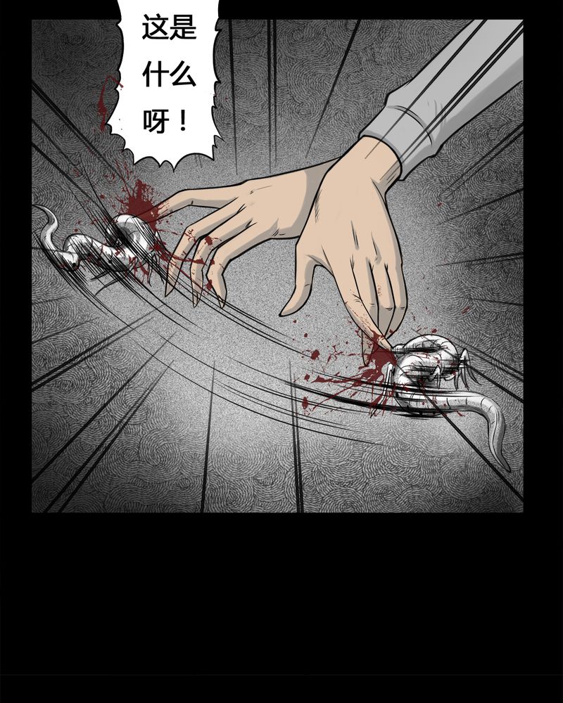 第3章：虫女(一)14