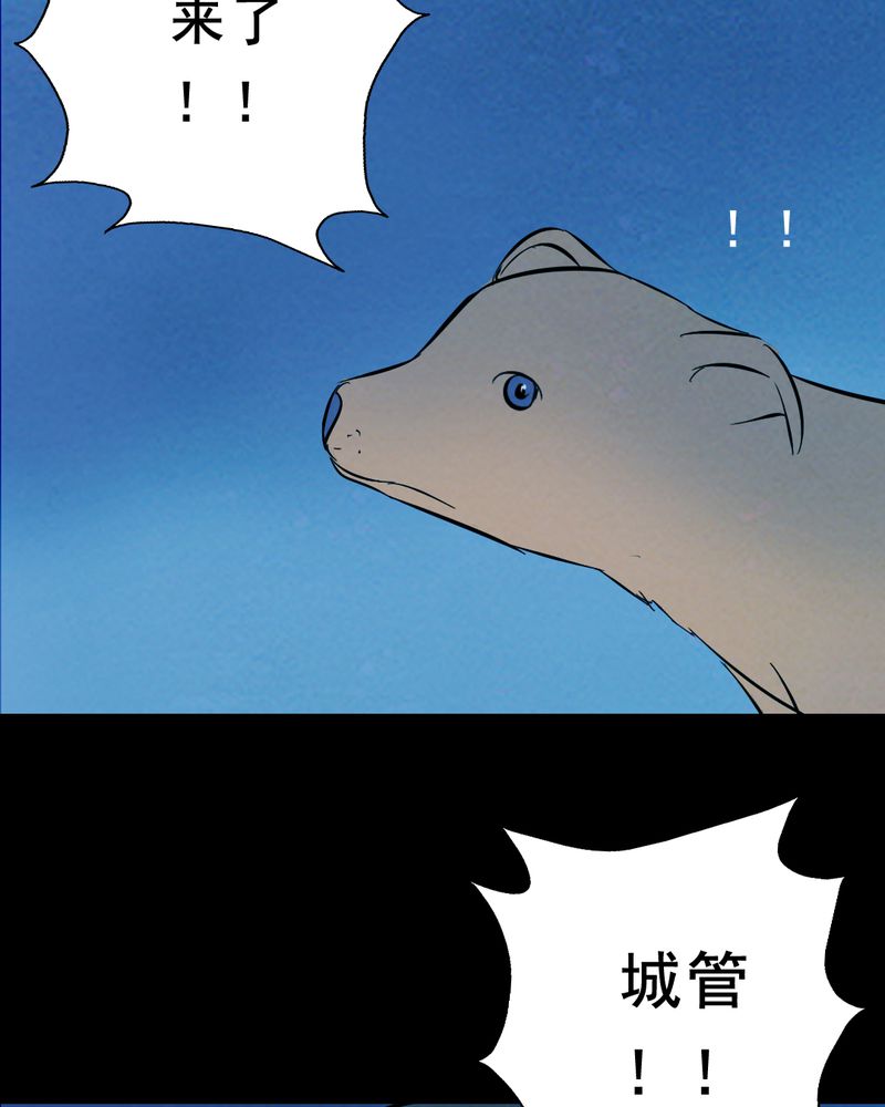 第25章：小笨（一）37