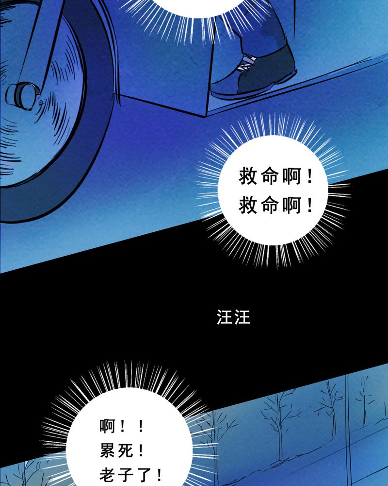 第27章：小笨（三）17
