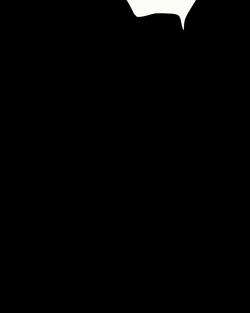 第33章：复仇（一）43