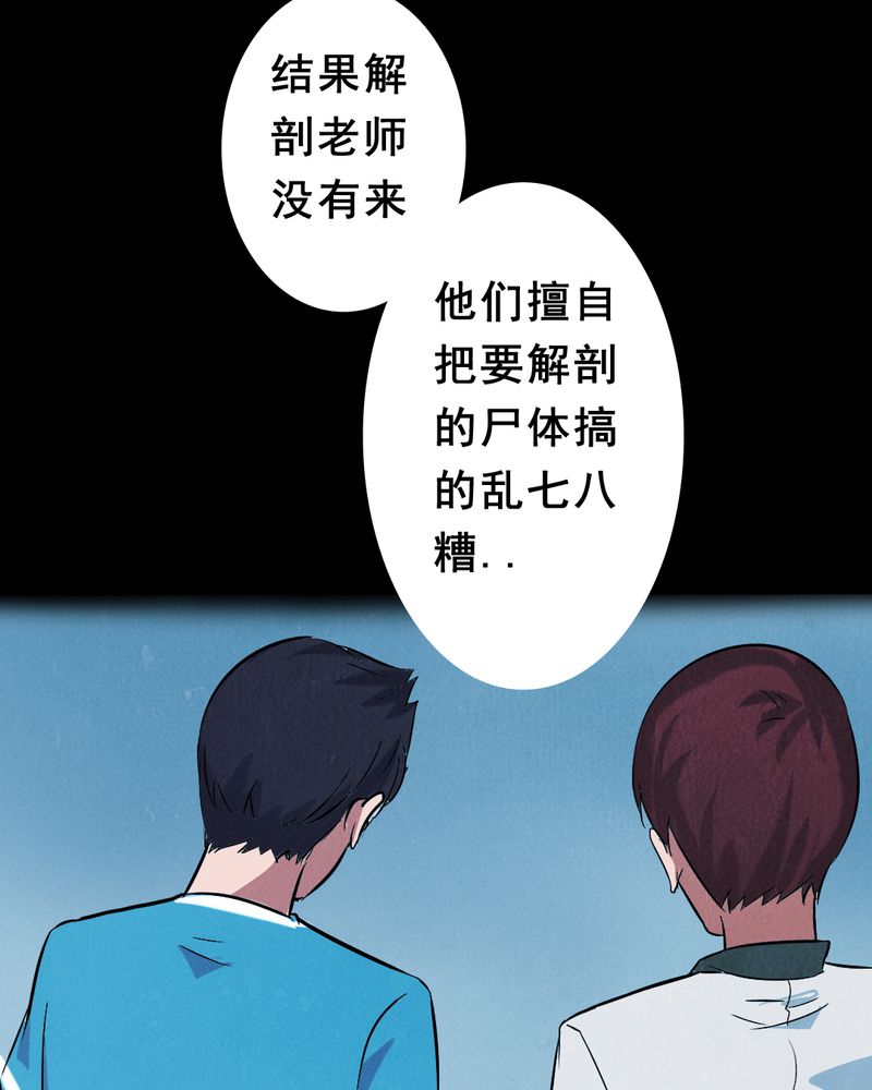 第3章：解剖（三）59