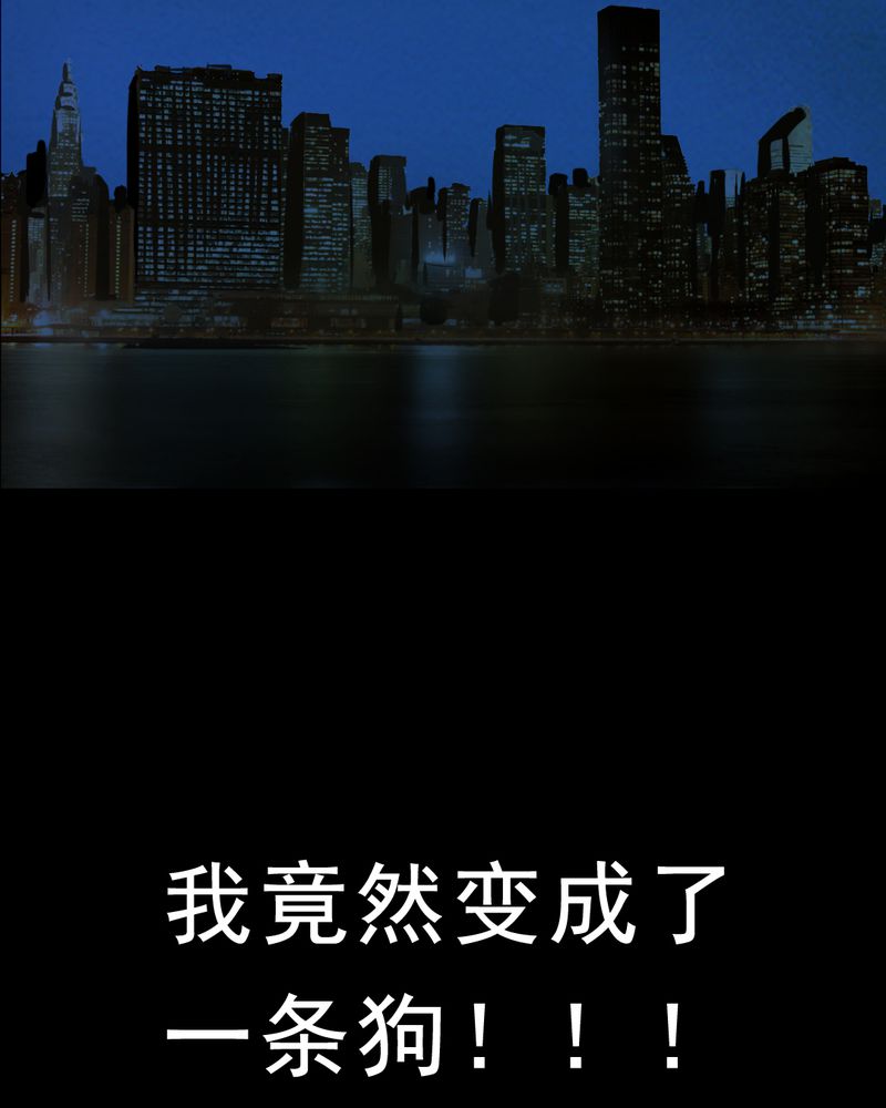 第26章：小笨（二）38