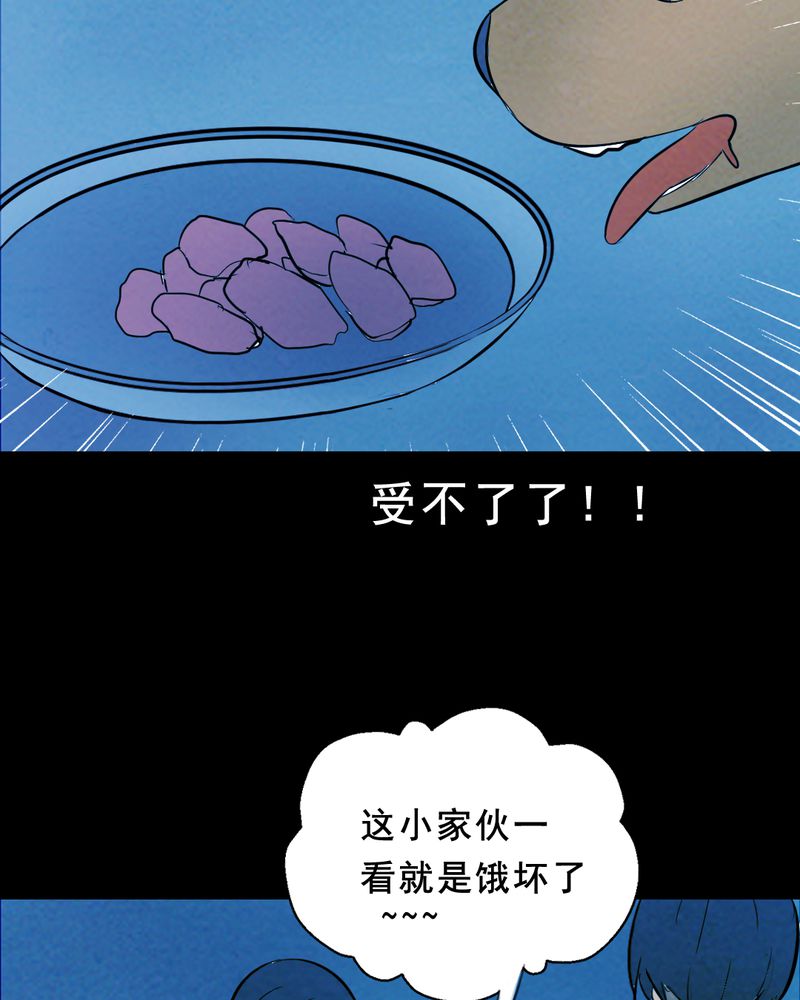 第26章：小笨（二）51