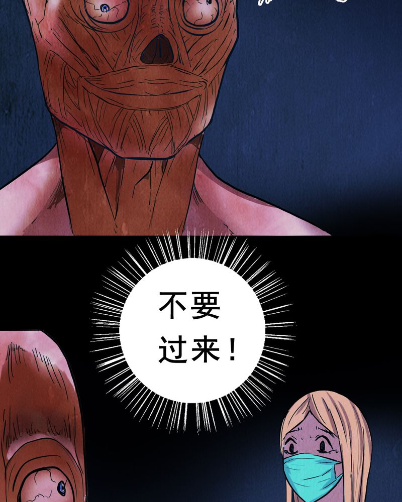 第3章：解剖（三）28