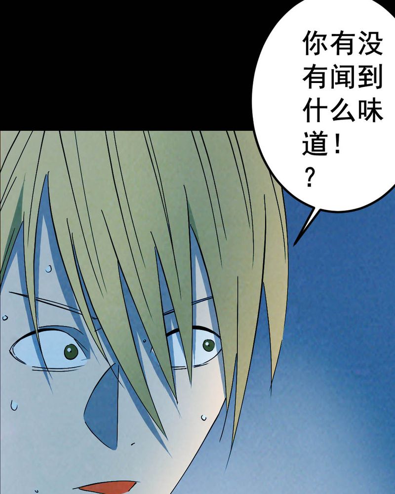 第58章：夏天（四）13