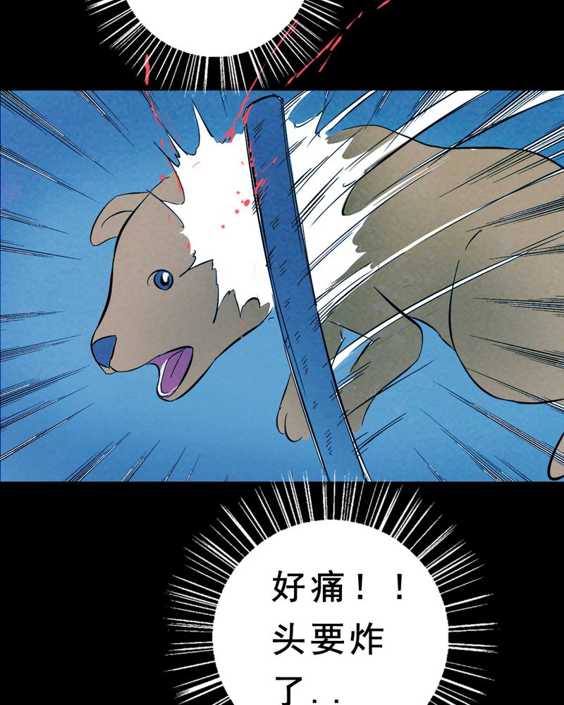 第27章：小笨（三）61