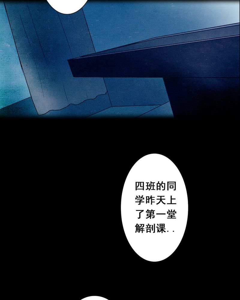 第3章：解剖（三）58