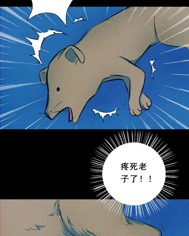 第26章：小笨（二）29
