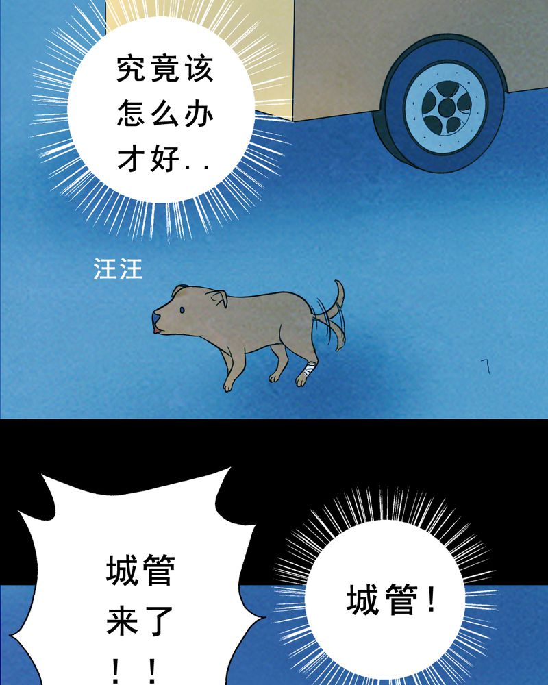 第27章：小笨（三）51