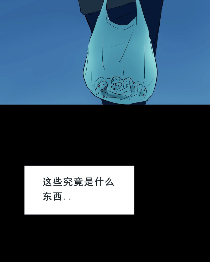 第21章：蘑菇（二）27