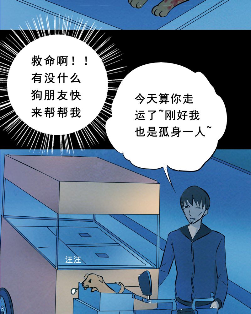 第27章：小笨（三）11