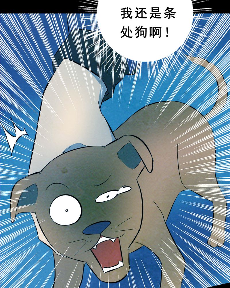 第27章：小笨（三）26
