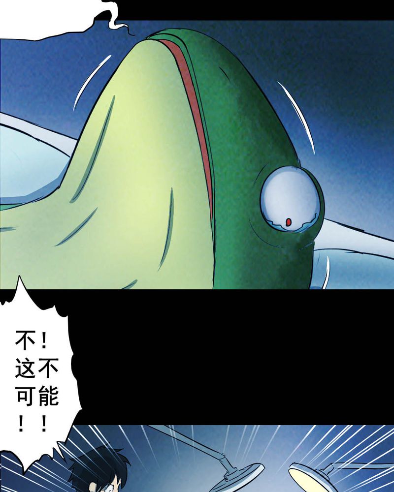 第54章：青蛙（五）19