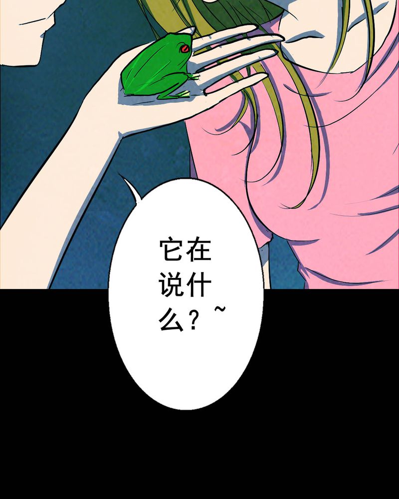 第50章：青蛙（一）13