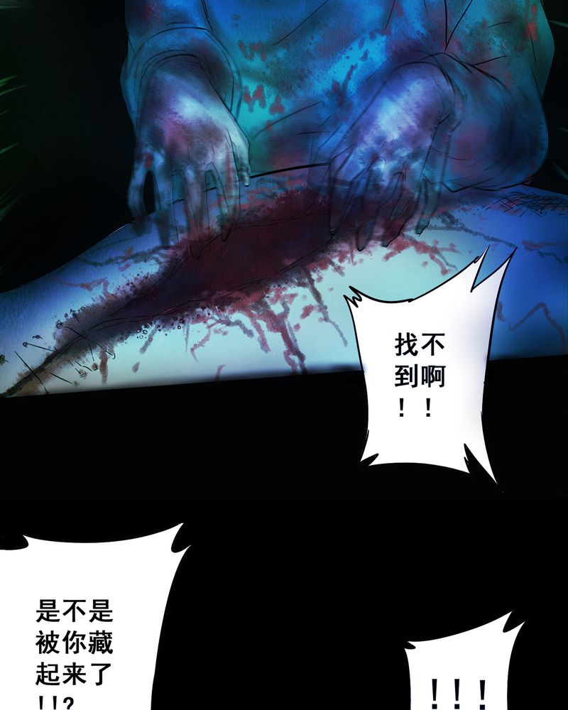 第2章：解剖（二）12