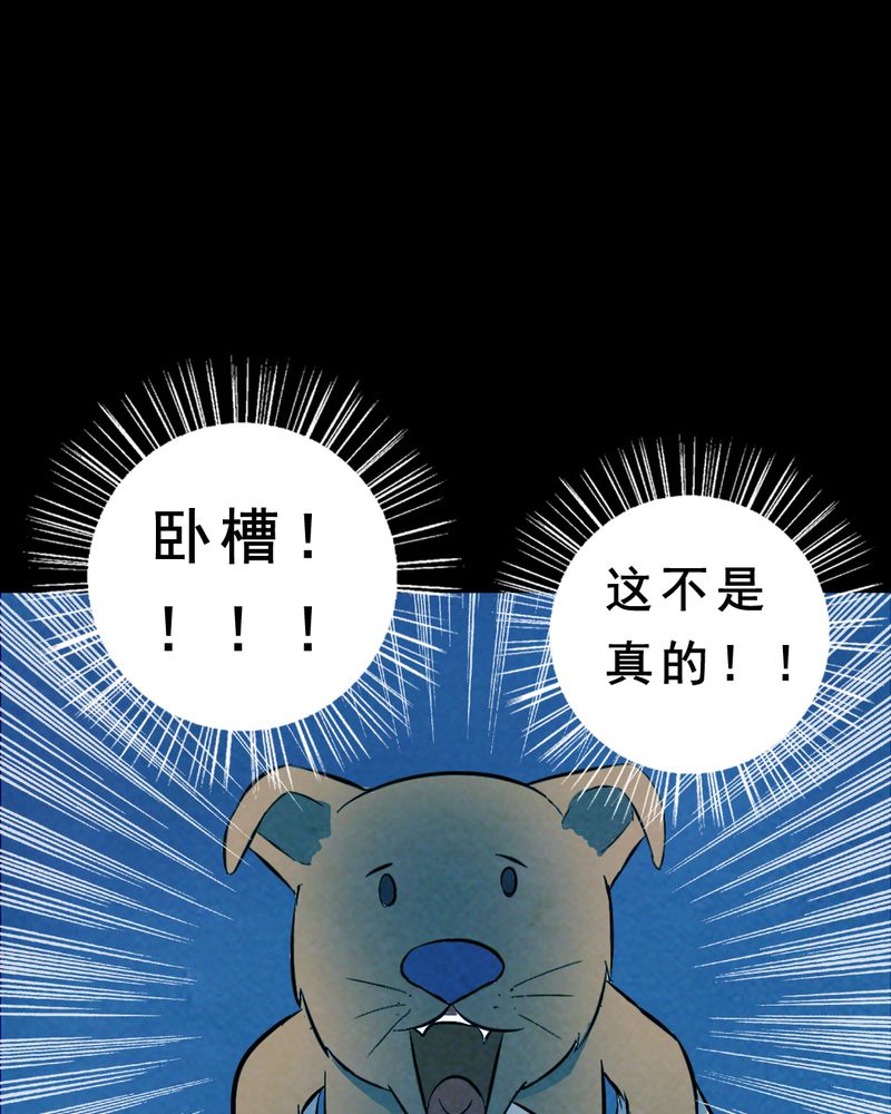 第27章：小笨（三）6