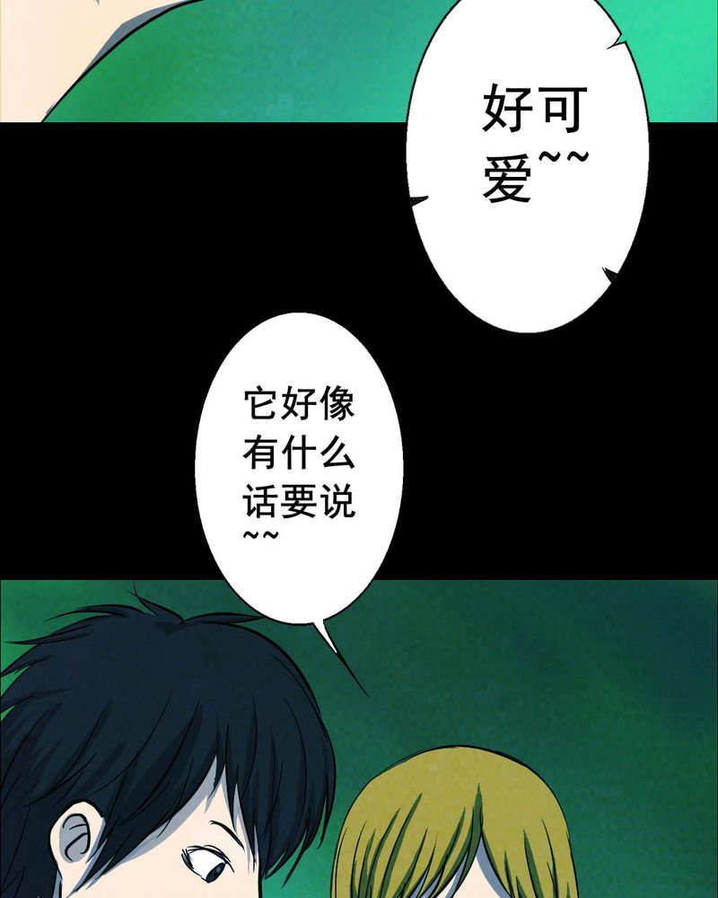 第50章：青蛙（一）10