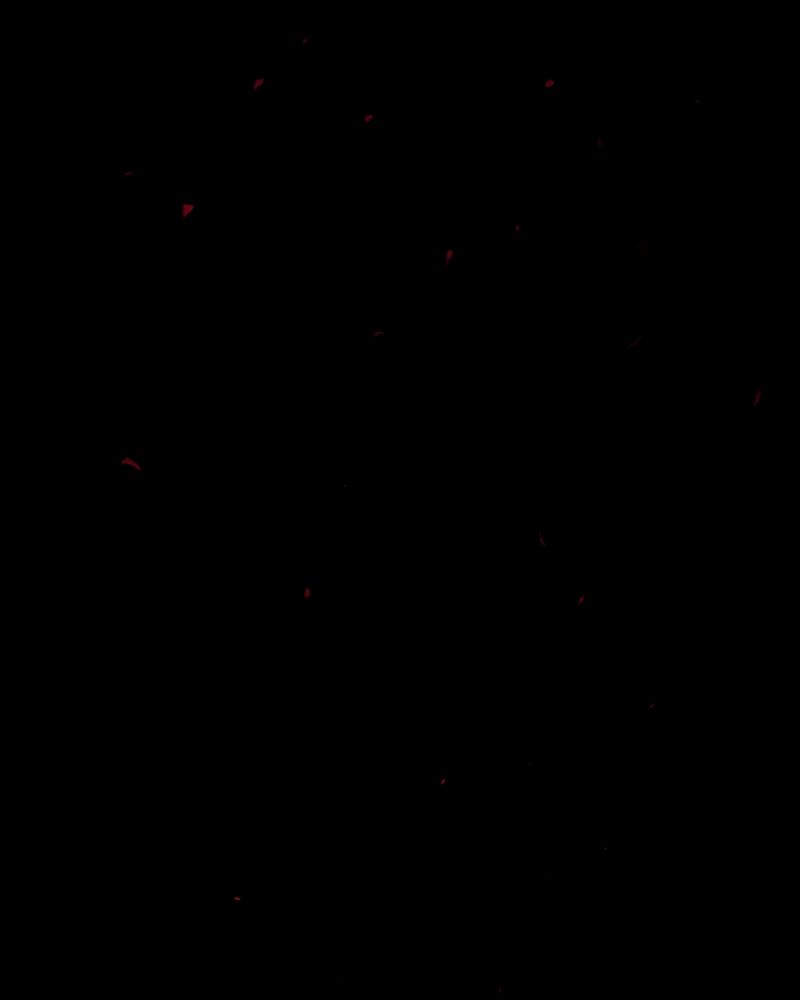 第2章：解剖（二）22