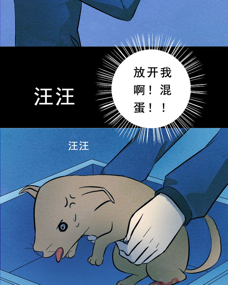第27章：小笨（三）10