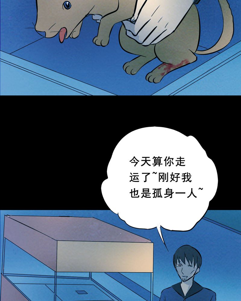 第25章：小笨（一）17