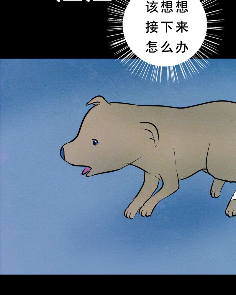 第27章：小笨（三）49