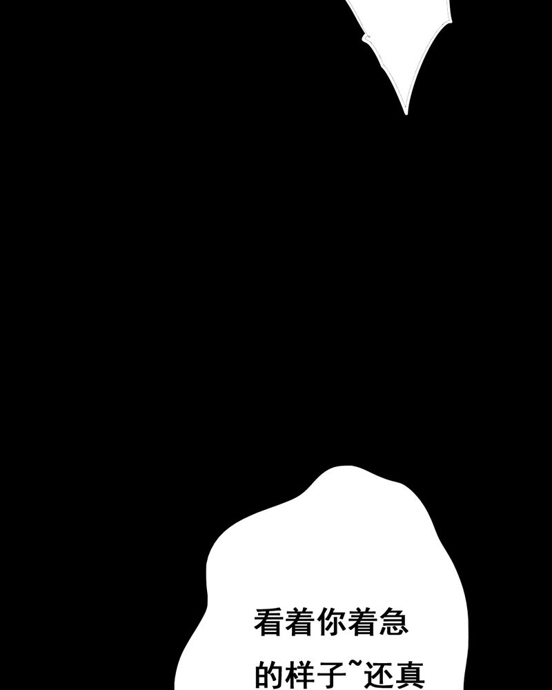 第33章：复仇（一）29