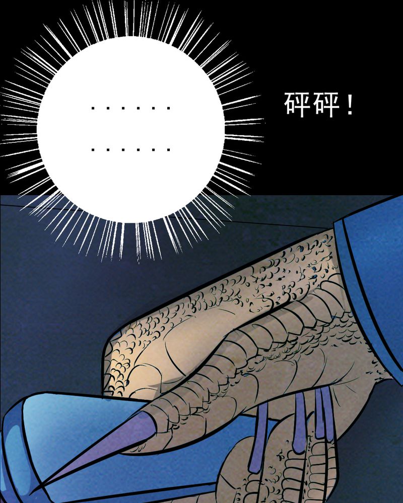 第28章：大鸡44