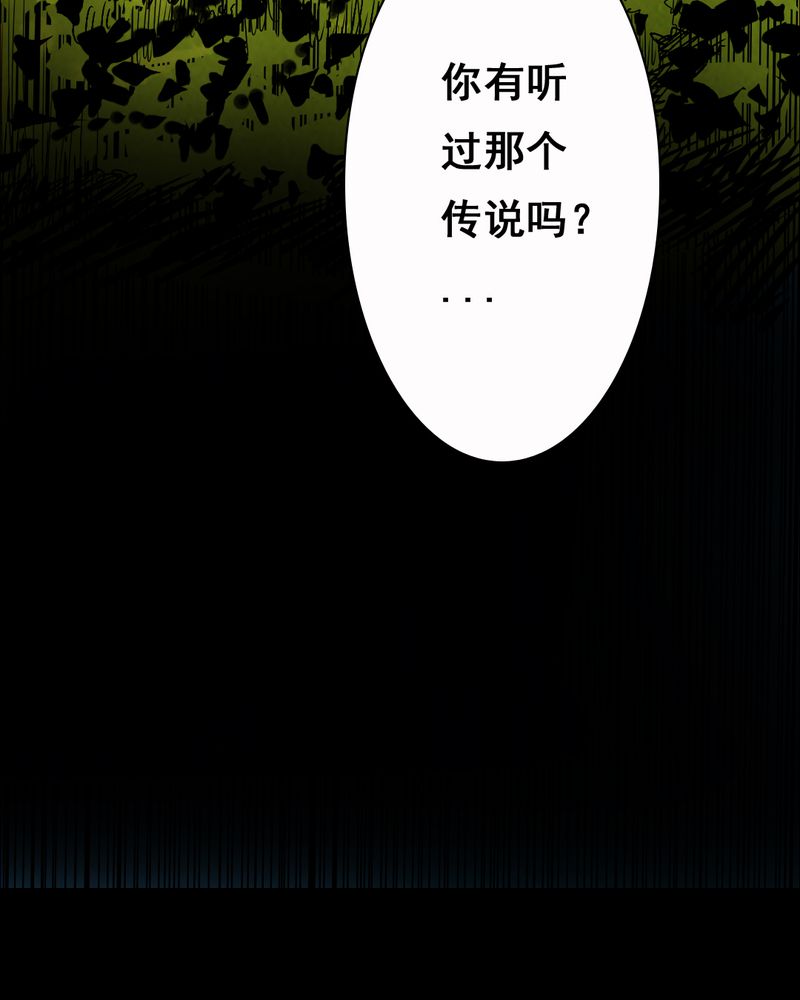 第35章：复仇（三）8