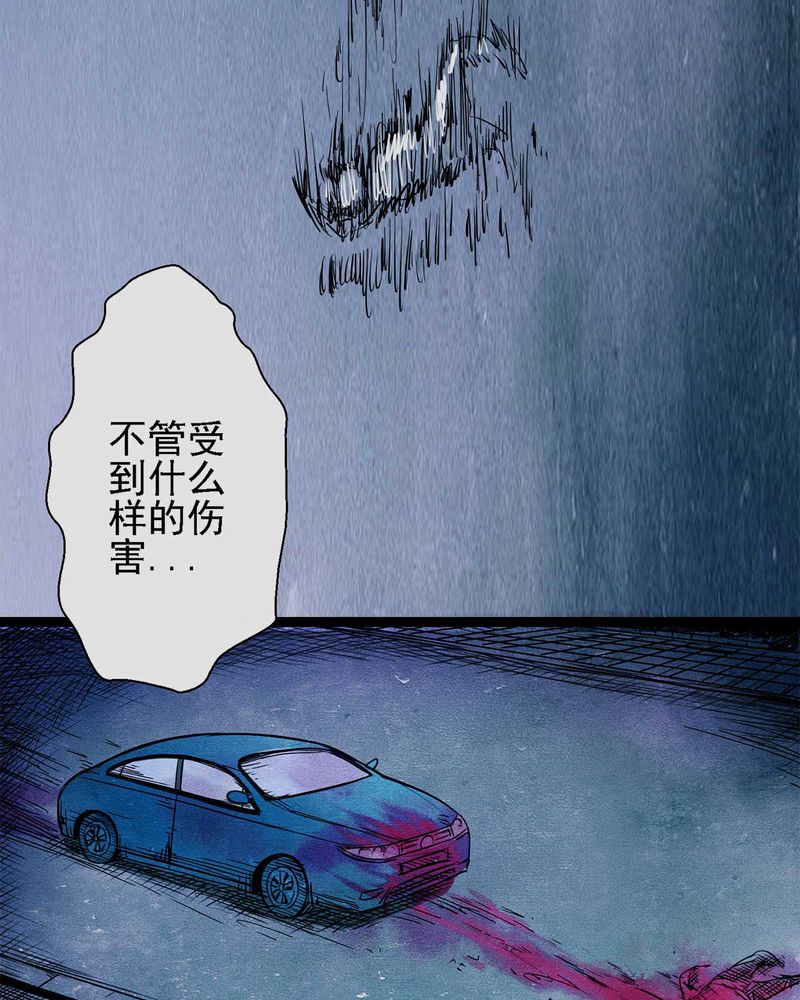 第1章：解剖（一）24