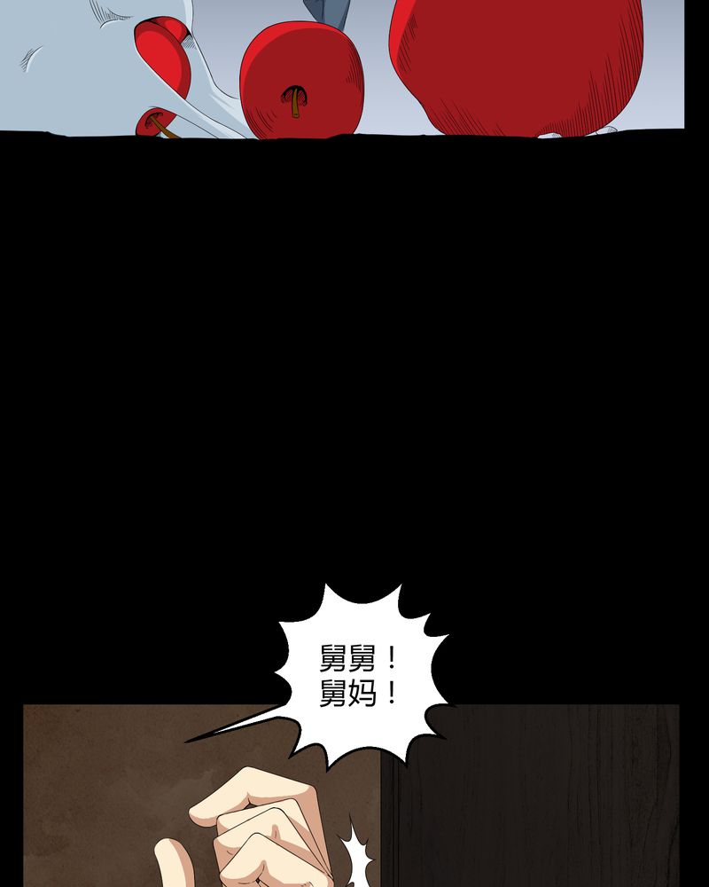 第28章：外公病重3