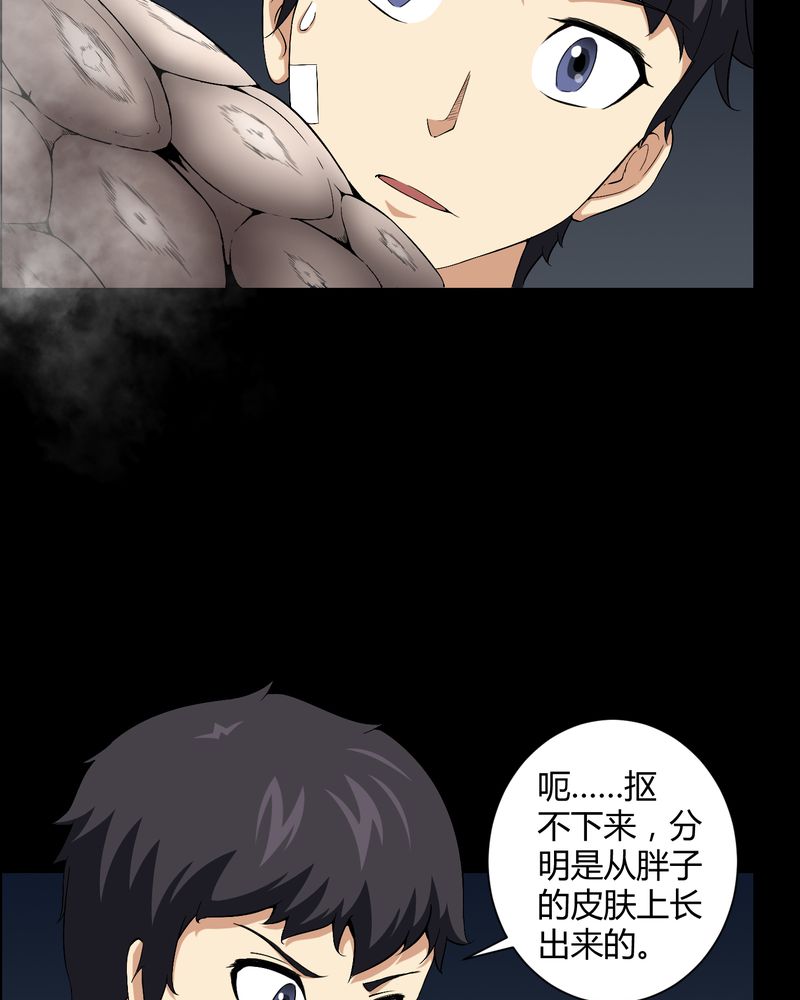 第21章：死人睁眼4