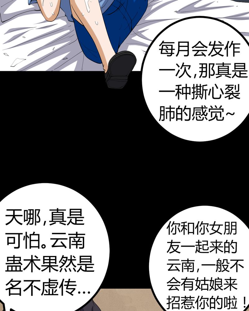 第82章：养蛊人19