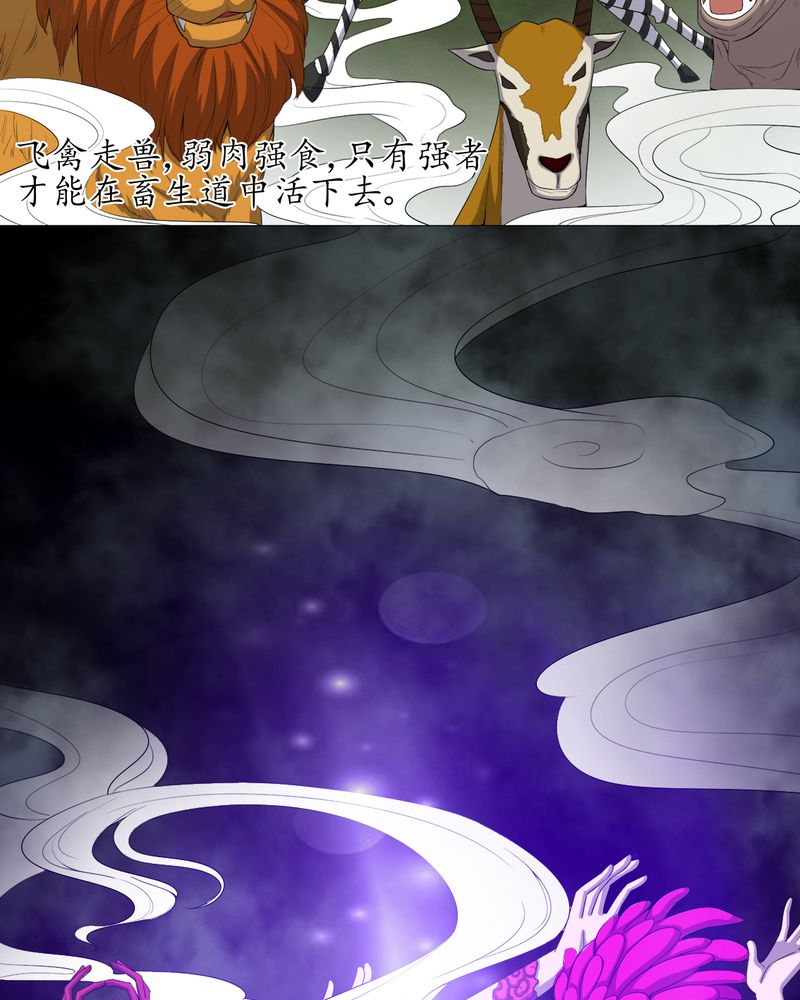 第69章：六道轮回25